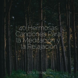 40 Hermosas Canciones Para la Meditación y la Relajación