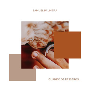 quando os pássaros...