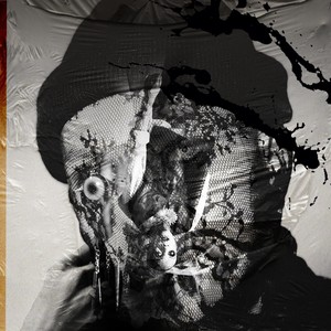 Феромоновый туман(prod. by PLSR13) (Explicit)