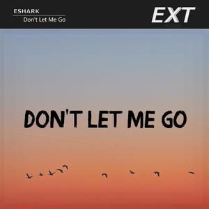 Don't Let Me Go (Extended Mix)