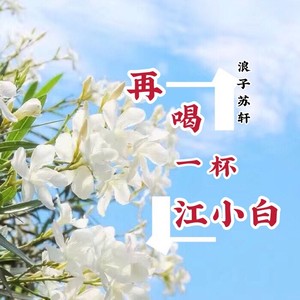 再喝一杯江小白