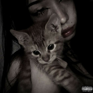 fall (Explicit)