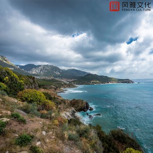 刺穿我被孤立 -古筝