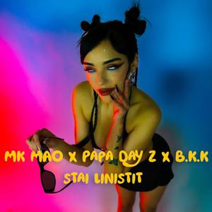 Stai linistit (feat. MK MAO) [Explicit]