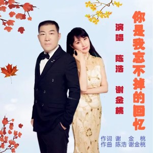 你是我忘不掉的回忆 (伴奏)