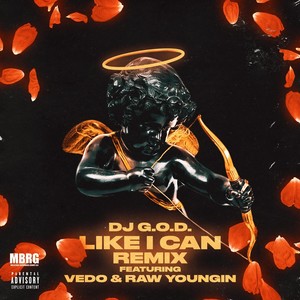 Like I Can (Remix) [feat. Vedo & Rawyoungin] [Explicit]