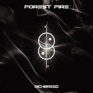 Forest Fire