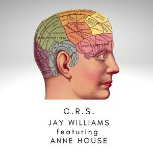 C-R-S (feat. Anne House) (Instrumental Mix)