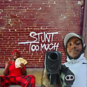 Stunt Too Much (Explicit)