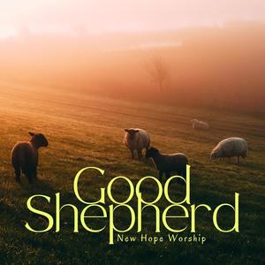 Good Shepherd (feat. Lindi Delport)