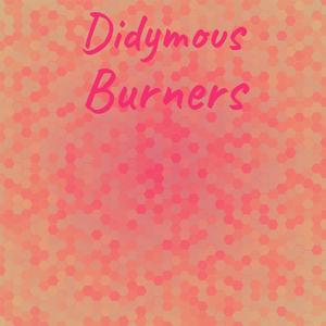 Didymous Burners