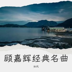 默默向上游封面
