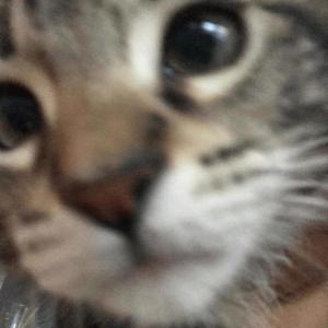 forever<3 (Explicit)