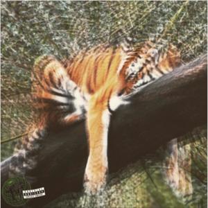 Crouching Tiger (Explicit)