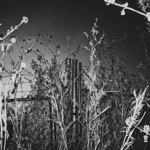 malparido (Explicit)