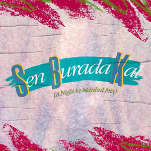 Sen Burada Kal (A Night in Istanbul Mix)