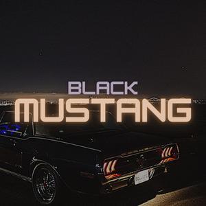 Black Mustang