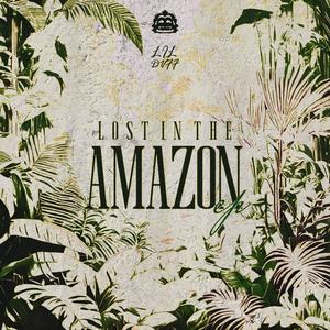 Lost In The Amazon