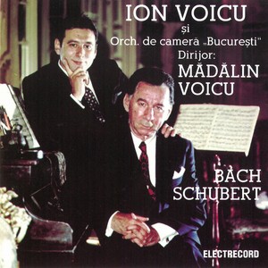 Concert nr. 2 pentru vioară şi orchestră în Mi major, Allegro assai