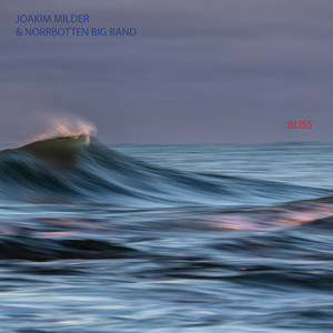 Joakim Milder - Acid