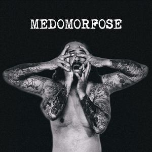 Medomorfose