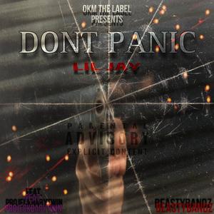 Dont Panic (feat. ProjeckBabyTwin & BeastyBandz) [Explicit]