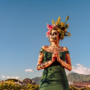 Viva la Mexico (Radio Edit)