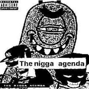 the nigga agenda (Explicit)