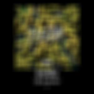 New You (feat. 01 Baby) (Explicit)