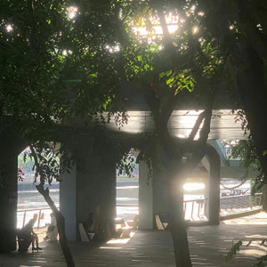 钢琴音乐传统诗人 - 瑜伽冥想疗愈放松音乐 (古筝)