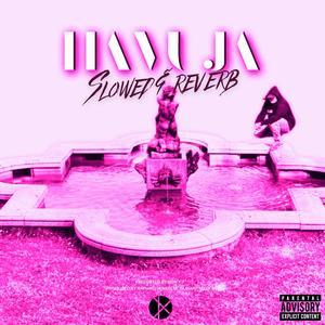 HAVUJA (Slowed Down + Reverb)