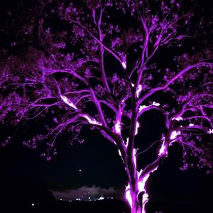 LOVE ME NOW (feat. A$iD) (SLOWED DOWN & REVERB)