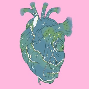 Absolute Lithops Effect