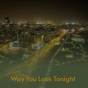 Way You Look Tonight