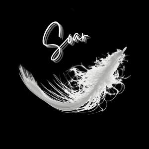 Soar (Explicit)