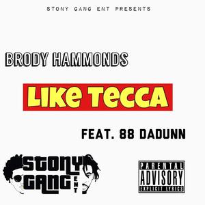 Like Tecca (feat. 88 DaDunn) (Explicit)