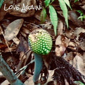 Love Again