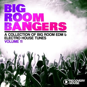 Big Room Bangers, Vol. 11