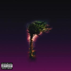 The Quester (Explicit)