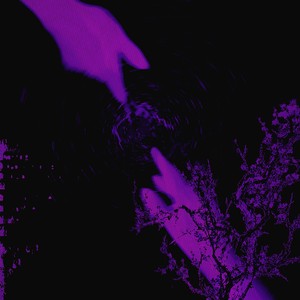 загоны (Explicit)