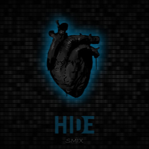Hide