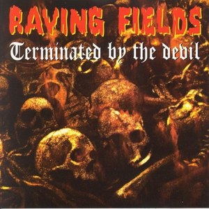 I'm Believing (Raving Fileds Terminated By The Devil Megamix)