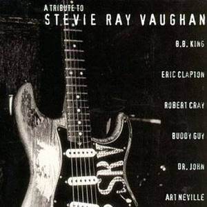 A Tribute To Stevie Ray Vaughan