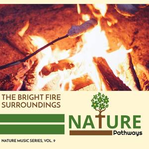 The Bright Fire Surroundings - Nature Music Series, Vol. 9