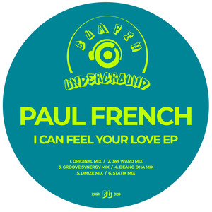 I Can Feel Your Love (DMIZE Remix)