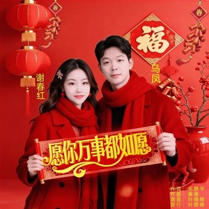 愿你万事都如愿 (对唱版)