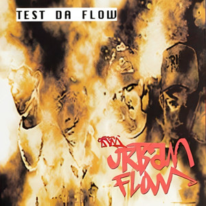 Test Da Flow (Explicit)