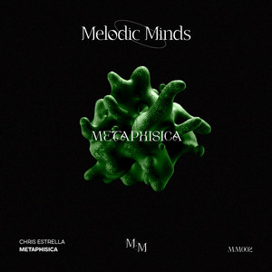 Metaphysica (Original Mix)