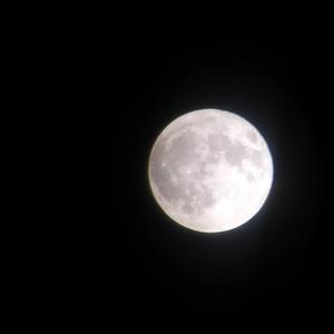 Nowhere Left to Turn