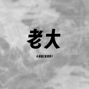 老大 (DJ飒爽版)